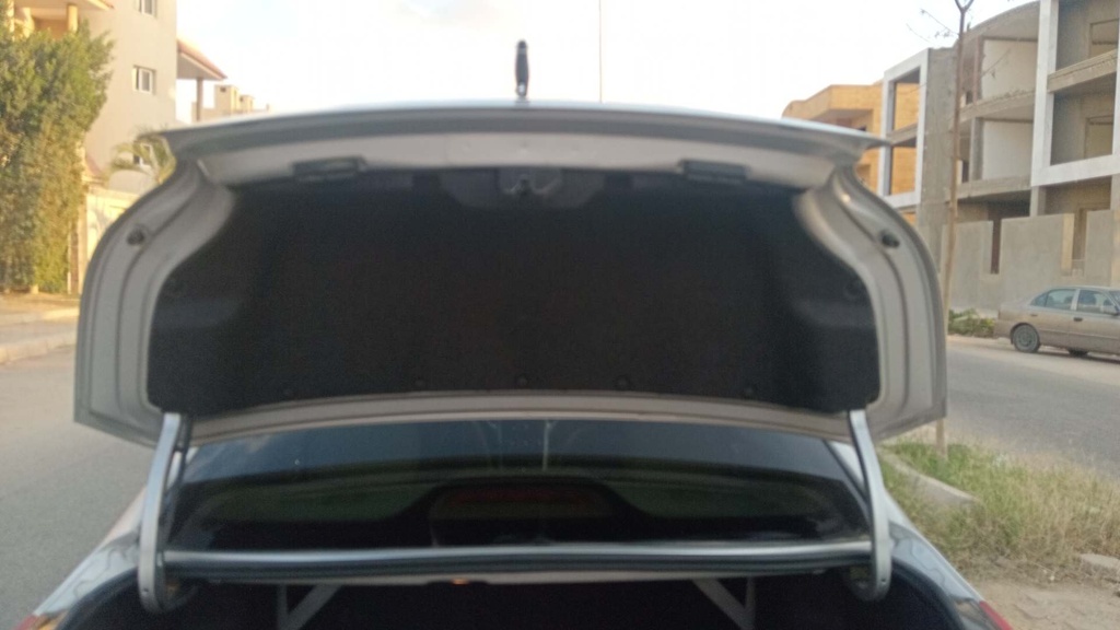 TRUNK HOOD