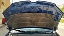 CAR HOOD