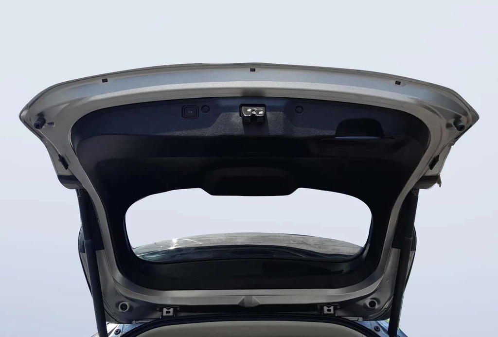 TRUNK HOOD