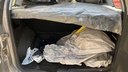 TRUNK