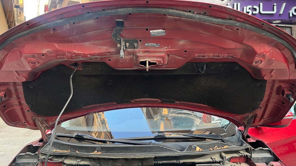 CAR HOOD