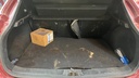TRUNK