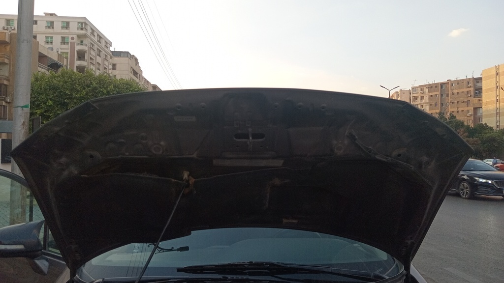 CAR HOOD