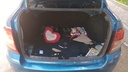 TRUNK