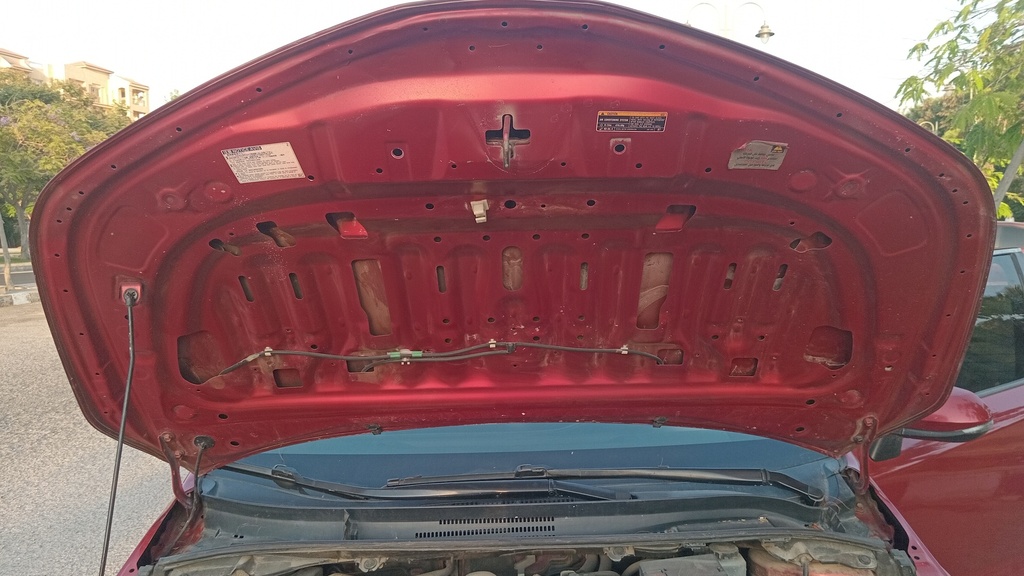 CAR HOOD