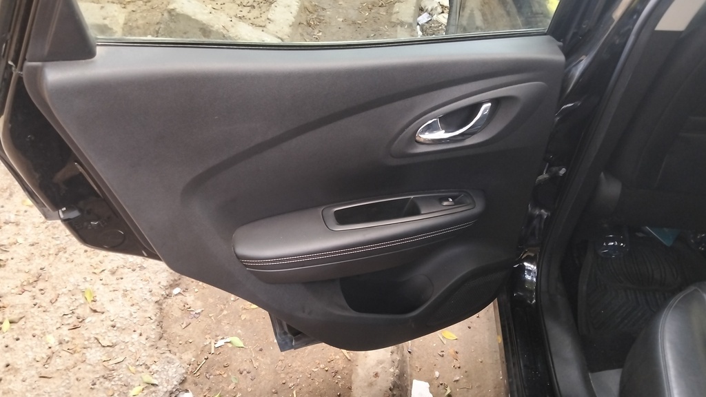 RR L DOOR