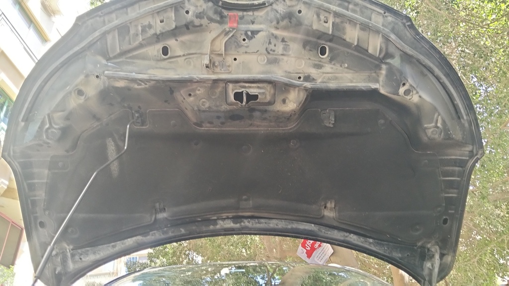 CAR HOOD