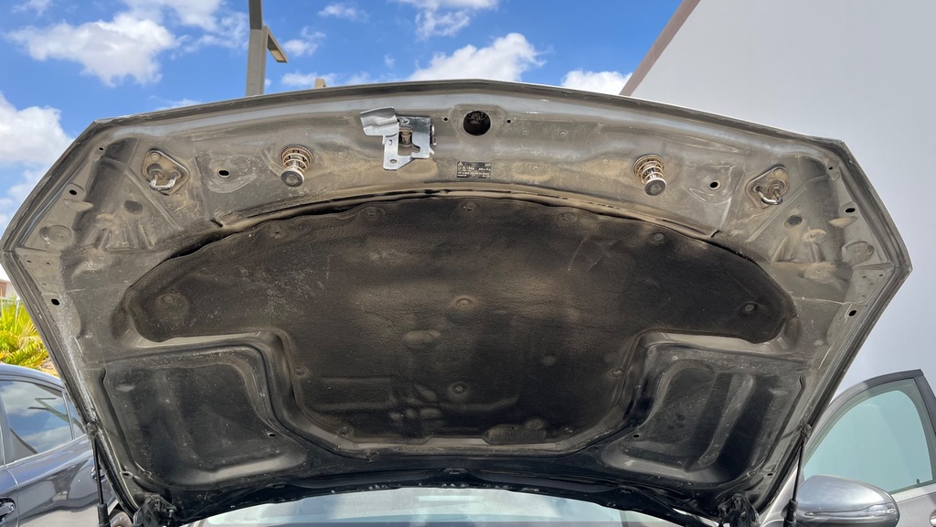 CAR HOOD