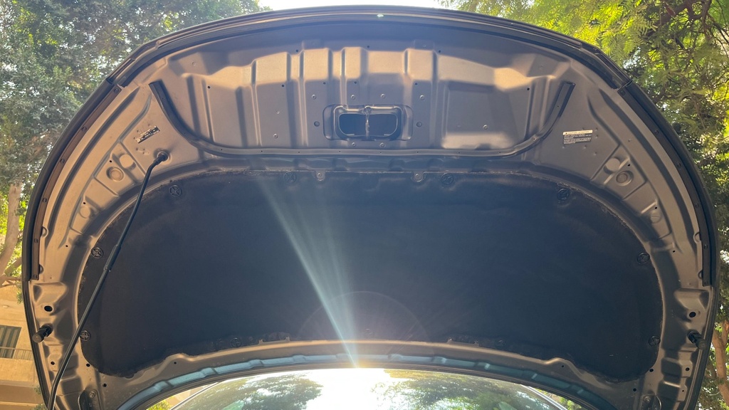 CAR HOOD