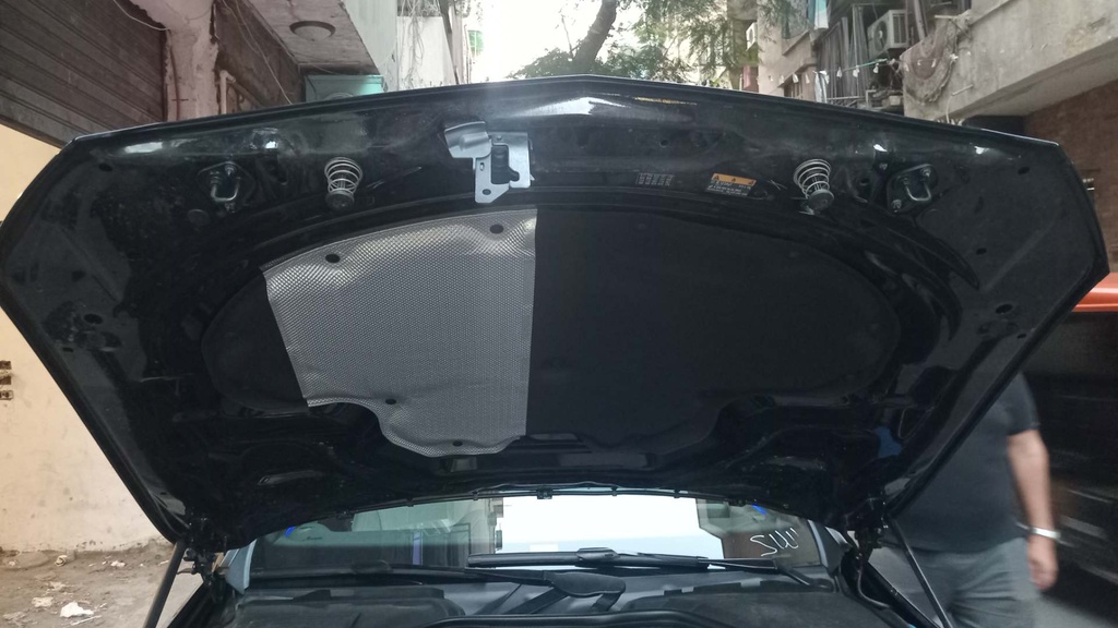 CAR HOOD