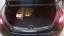 TRUNK