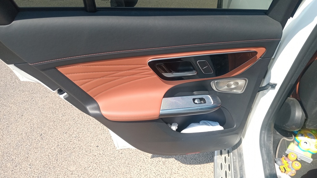 RR L DOOR