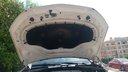 CAR HOOD
