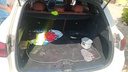 TRUNK