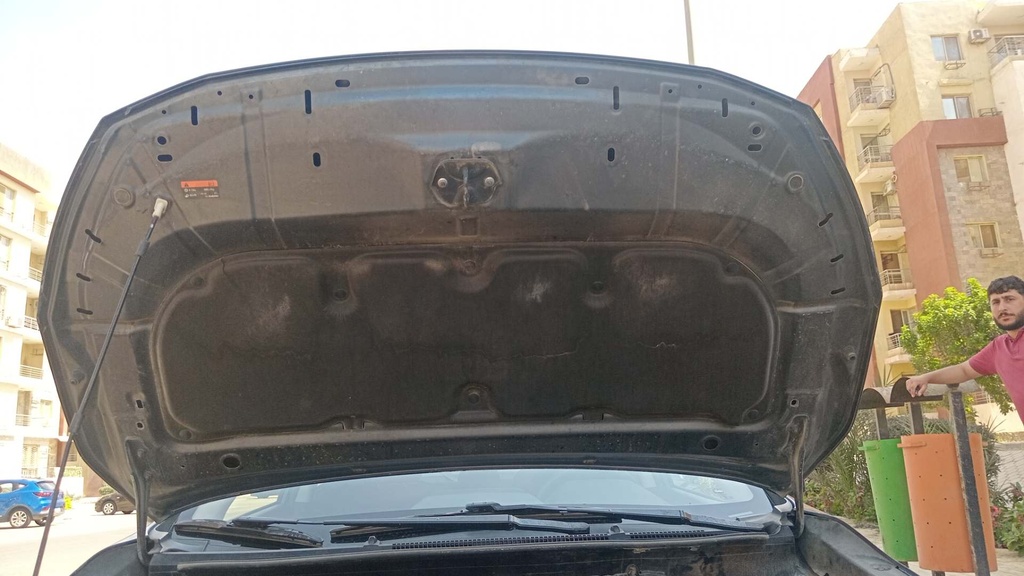CAR HOOD