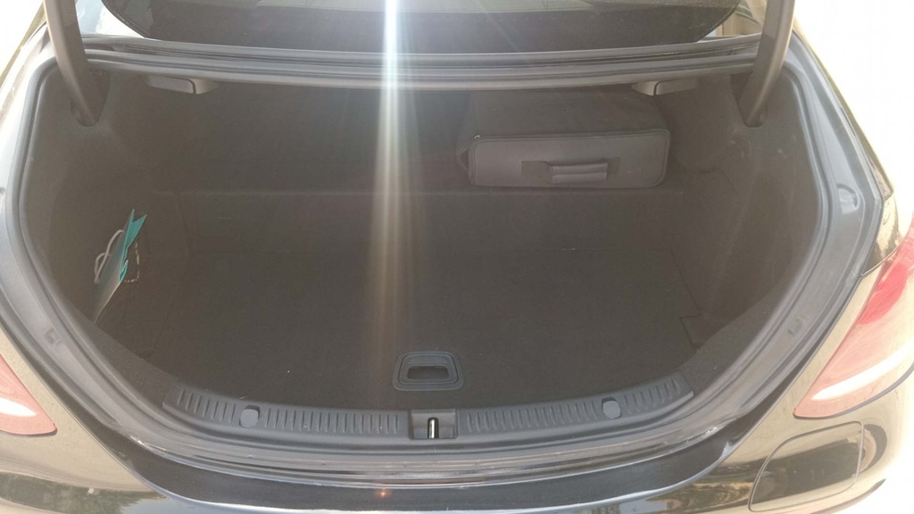 TRUNK