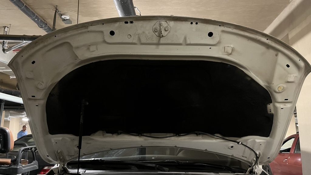 CAR HOOD