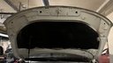 CAR HOOD
