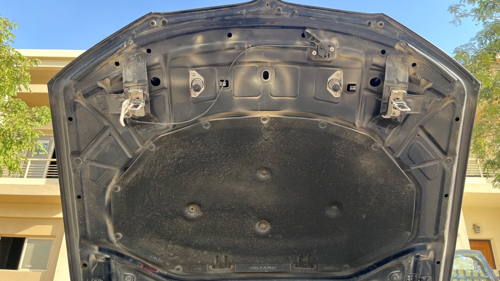 CAR HOOD