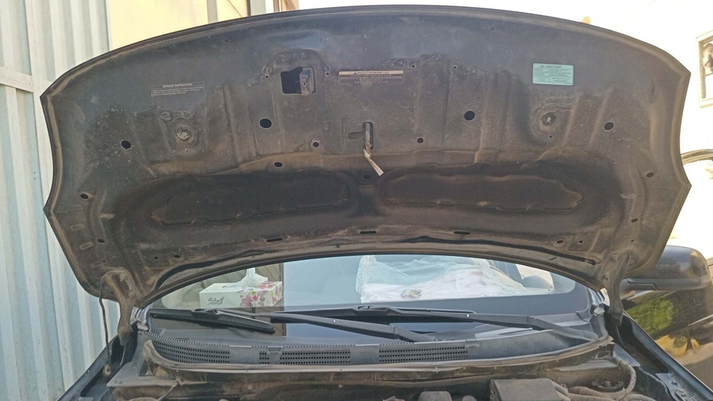 CAR HOOD