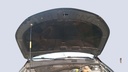 CAR HOOD