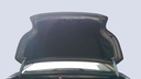 TRUNK HOOD