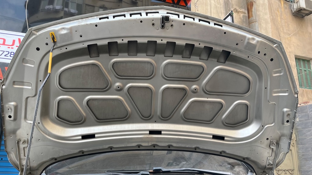 CAR HOOD