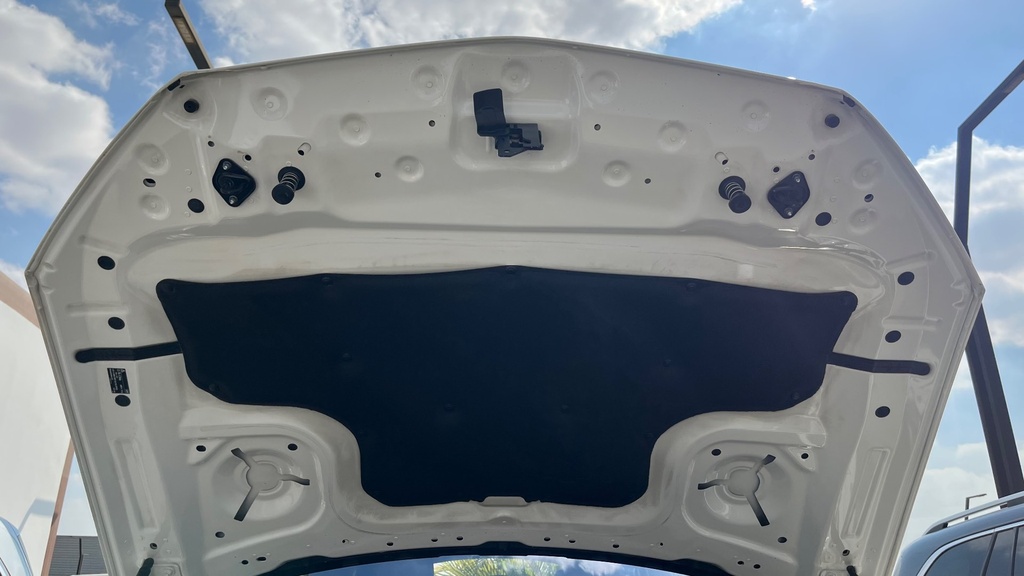 CAR HOOD