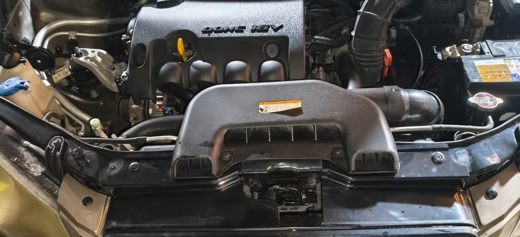 WhatsApp Image 2025-10-20 at 3.52.35 PM.jpeg