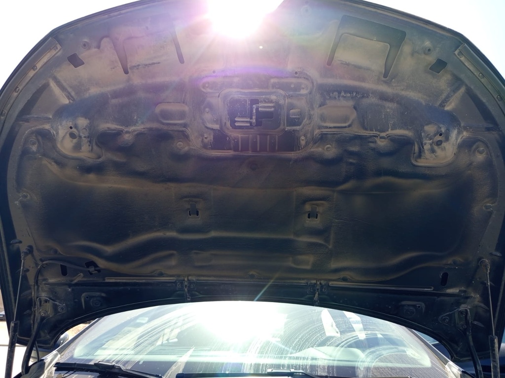 CAR HOOD