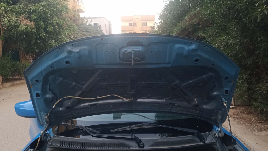 CAR HOOD