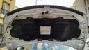 CAR HOOD