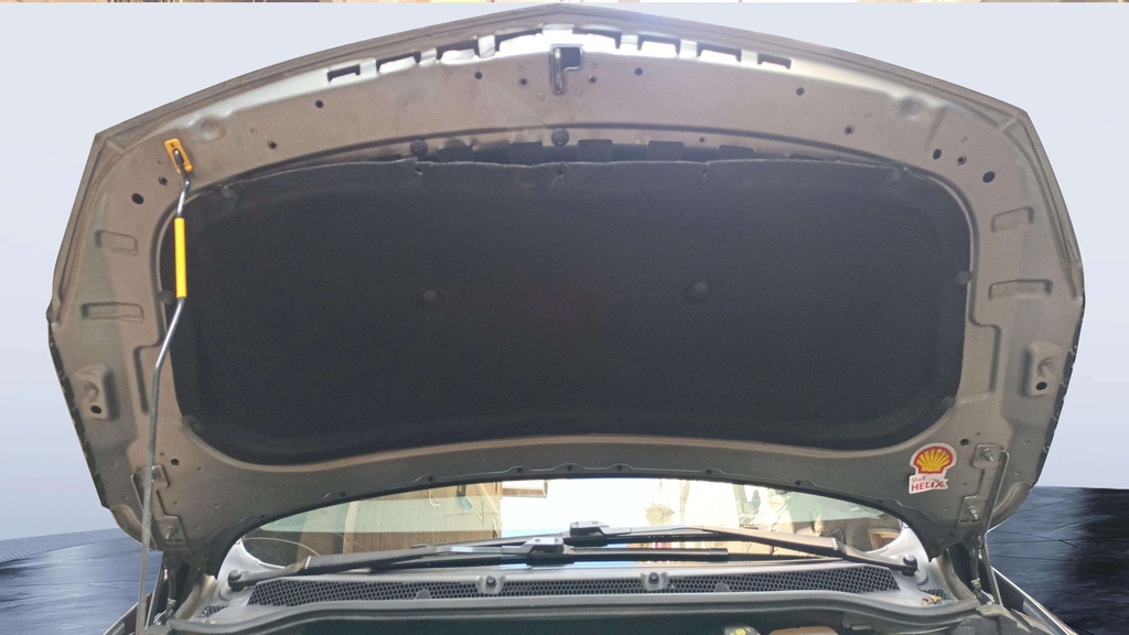 CAR HOOD