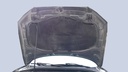 CAR HOOD