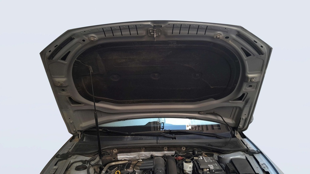 CAR HOOD