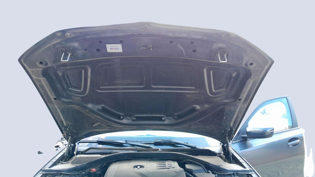 CAR HOOD