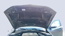 CAR HOOD