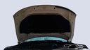 CAR HOOD