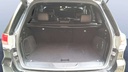 TRUNK