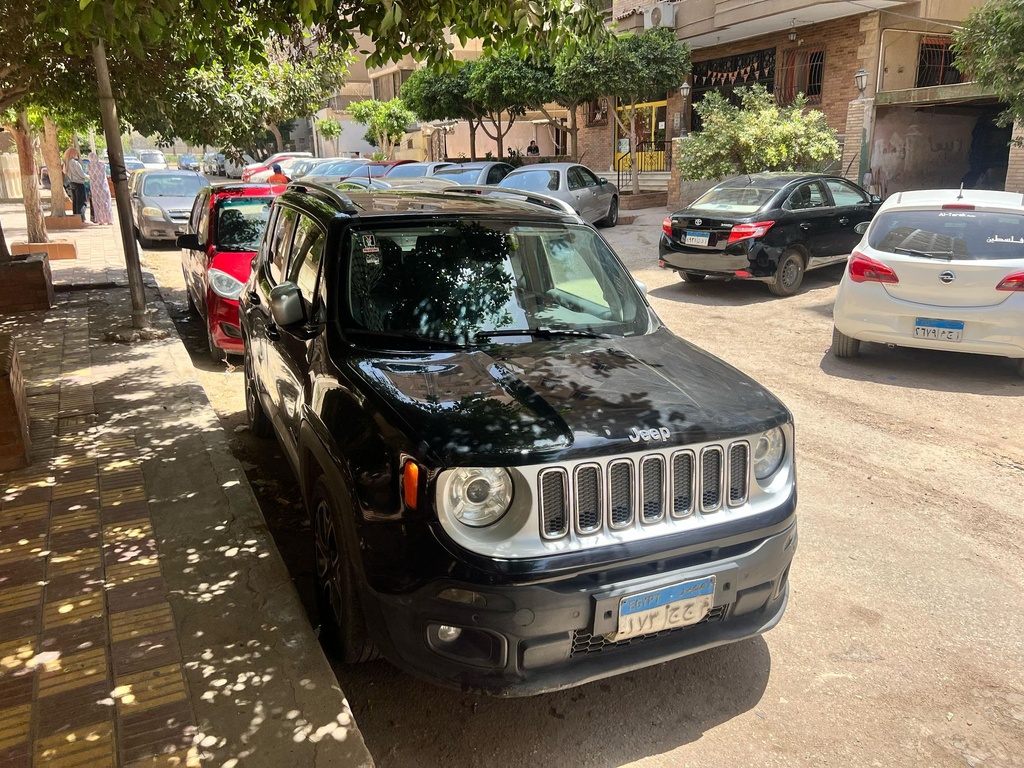 Jeep Renegade 2018 3rd Category