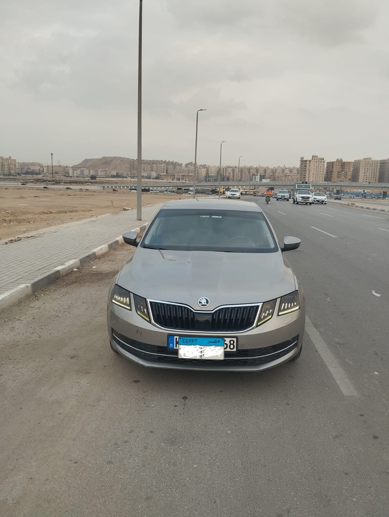 Skoda Octavia A7 2019 1st Category
