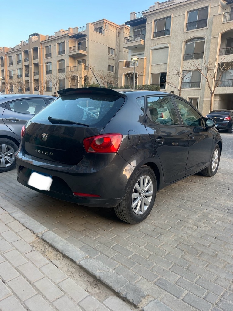 Seat Ibiza 2010 2nd Category