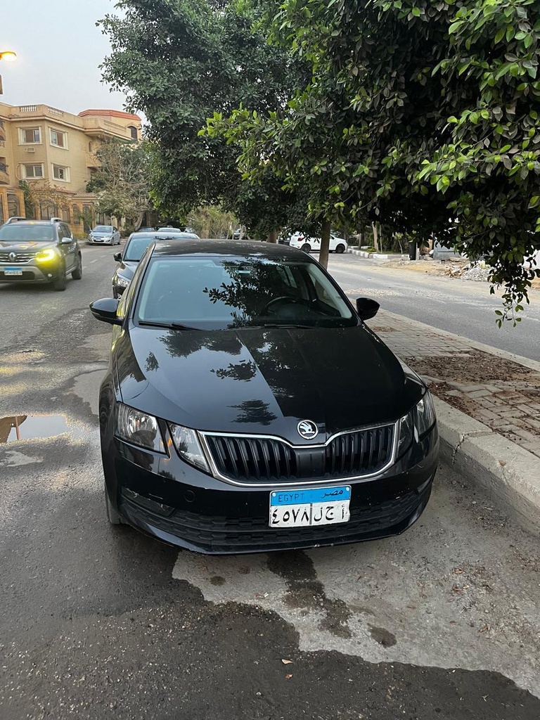 Skoda Octavia A7 2020 1st Category