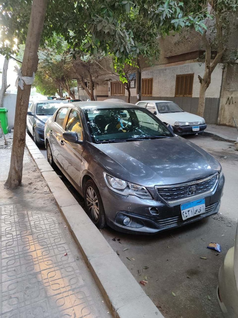Peugeot 301 2019 1st Category