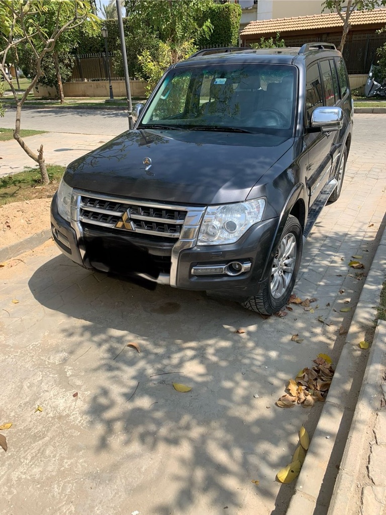 Mitsubishi Pajero 2018 1st Category