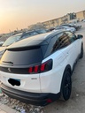 Peugeot 3008 2020 7th Category
