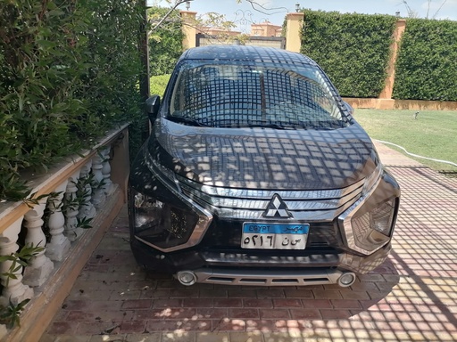 صورة العربية