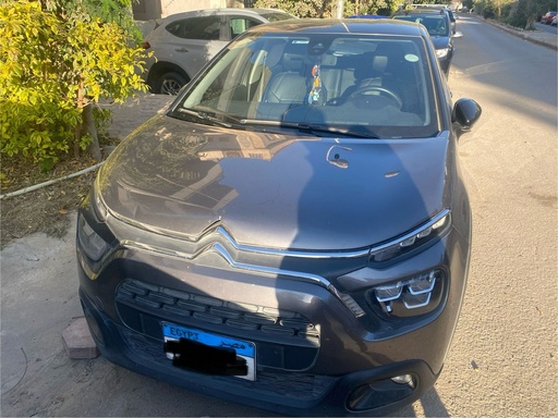 صورة العربية
