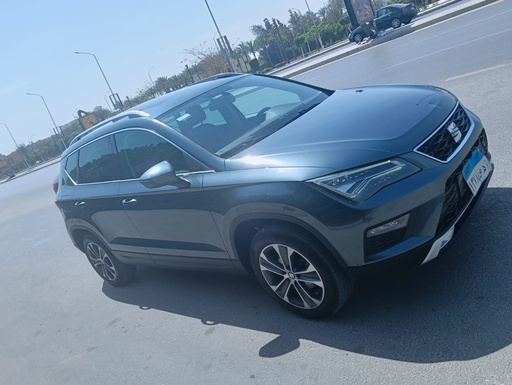 صورة العربية