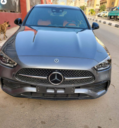 صورة العربية